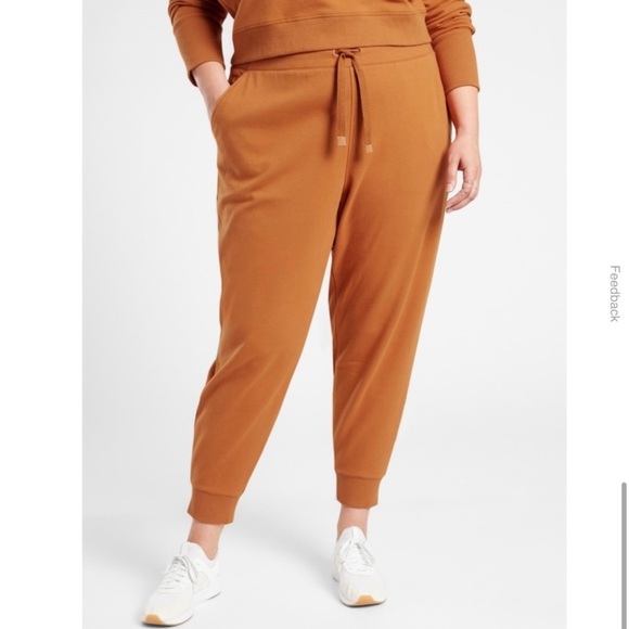 Athleta Pants - ATHLETA Plus Size Triumph Jogger Pants
Sweatpants Cattail Brown Burnt Orange 2X